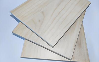 河北灵旭安防科技有限公司